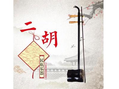 招聘襄阳二胡家教老师